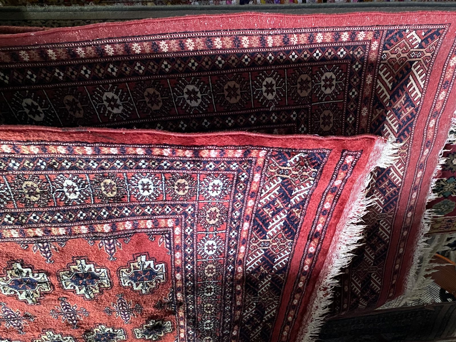 Red Bokhara rug with rows of octagonal guls, hanging after washing